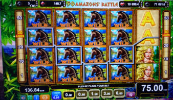 Amazons' Battle: The Amazons are generous - Total win: 250x (Full screen)