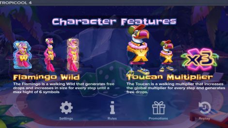 Character Features