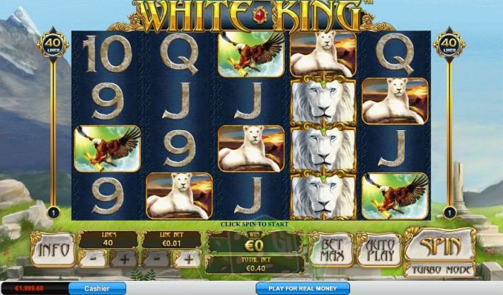 White King Cover picture