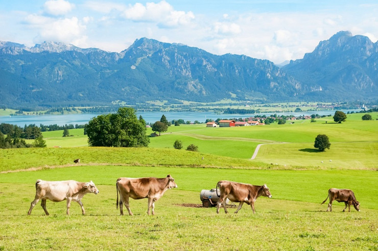 Ostallgäu: Zwei Männer wegen illegalen Glücksspiels verurteilt